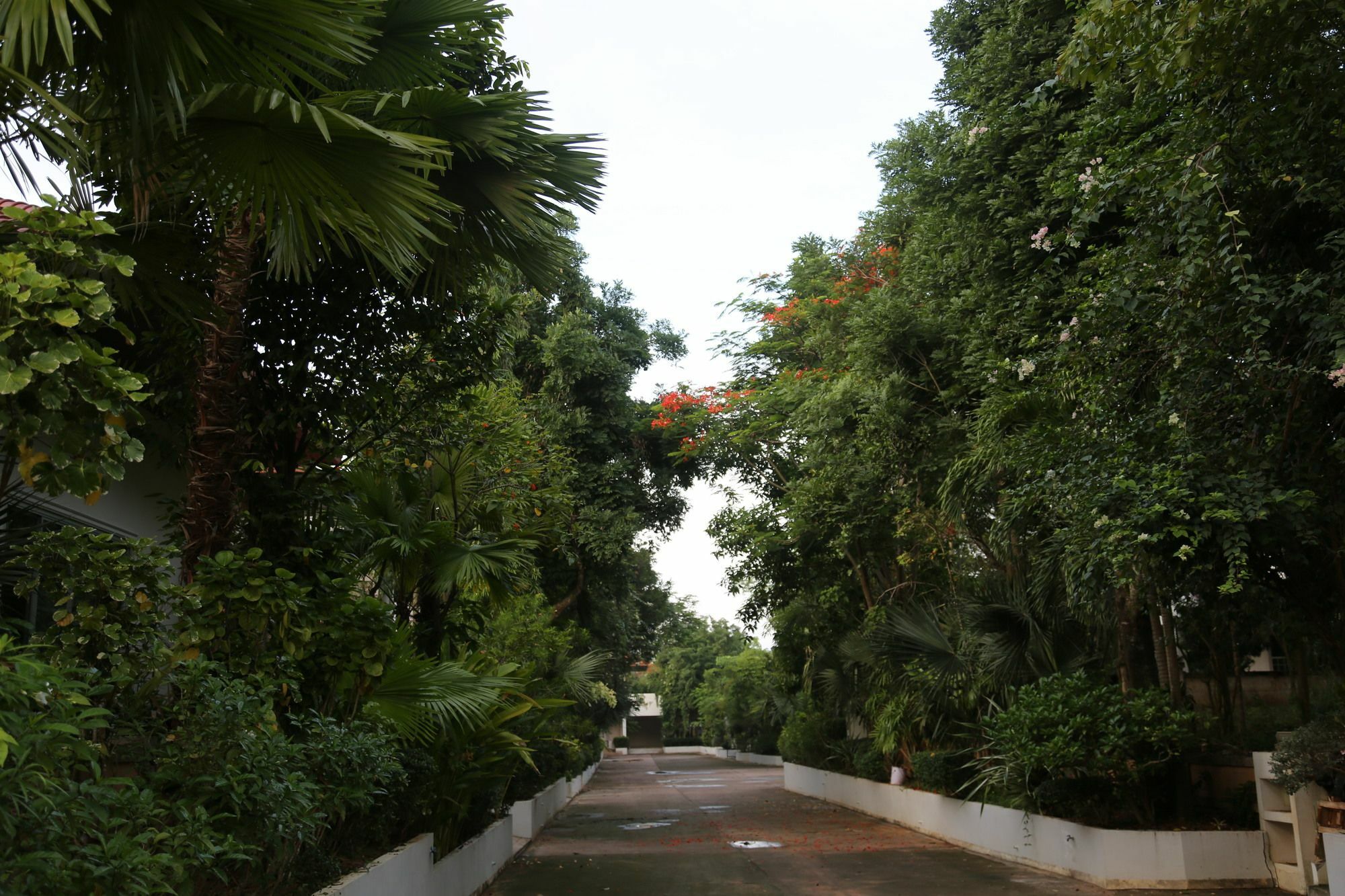 Scenxury Resort Pattaya Exterior photo